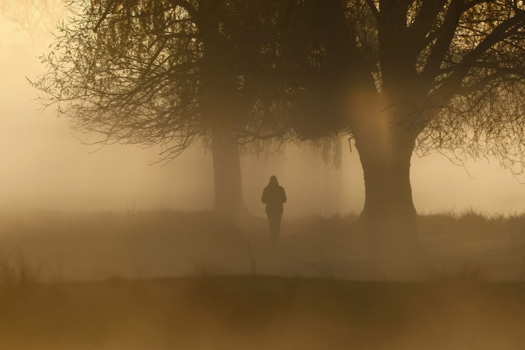 the fog of the second week without